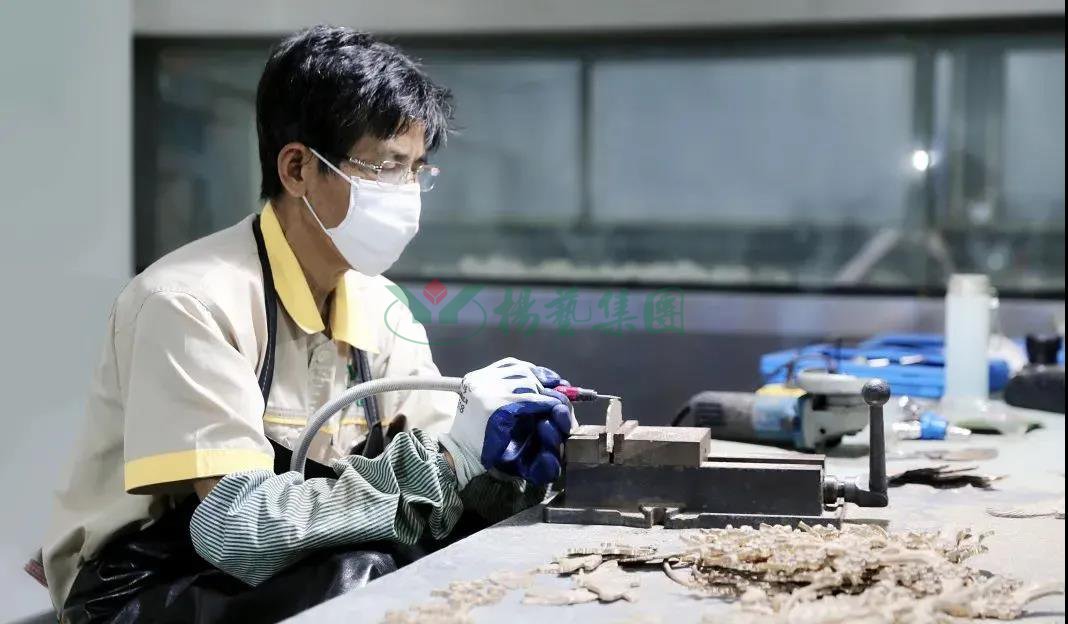 壹号娱乐 - NG大舞台,有梦你就来