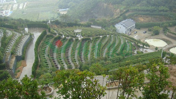 壹号娱乐 - NG大舞台,有梦你就来