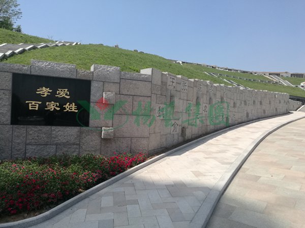 壹号娱乐 - NG大舞台,有梦你就来