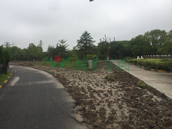 壹号娱乐 - NG大舞台,有梦你就来