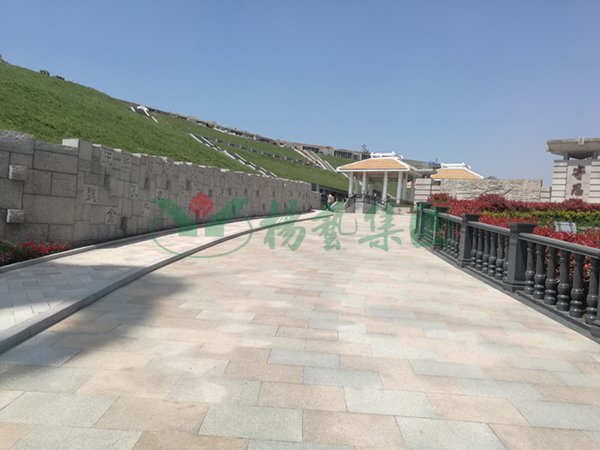 壹号娱乐 - NG大舞台,有梦你就来