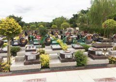 上；懔靶腔鹎