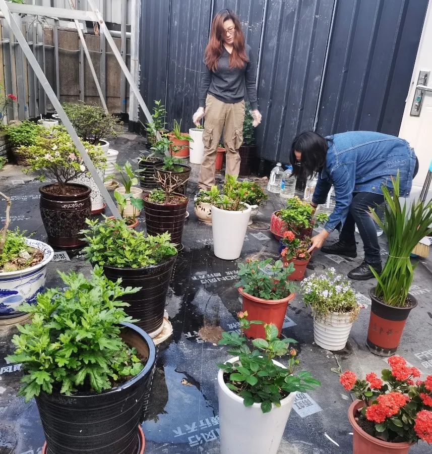 壹号娱乐 - NG大舞台,有梦你就来