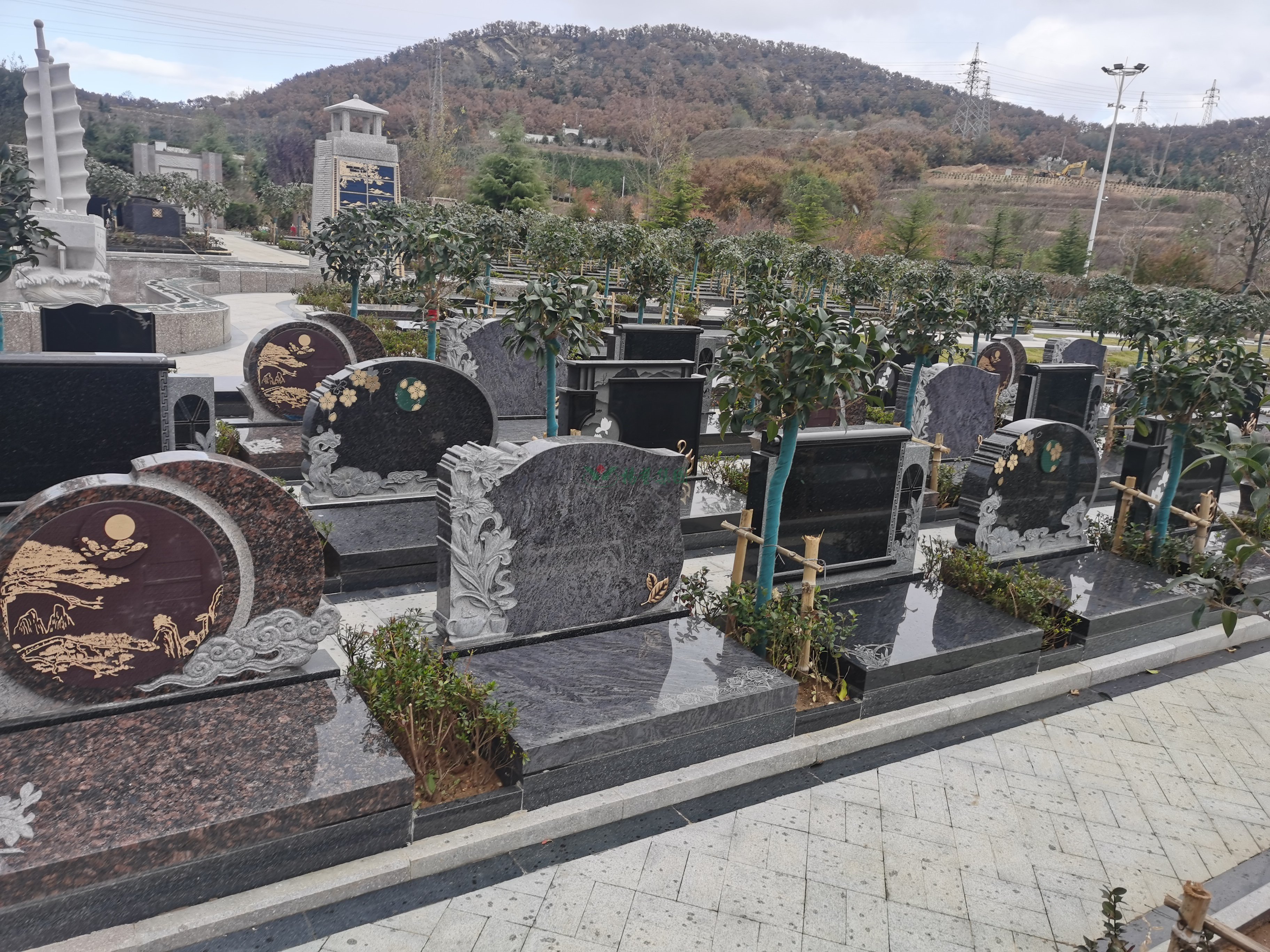 壹号娱乐 - NG大舞台,有梦你就来