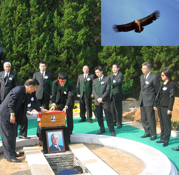 壹号娱乐 - NG大舞台,有梦你就来