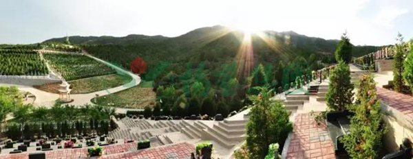 壹号娱乐 - NG大舞台,有梦你就来