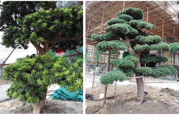 壹号娱乐 - NG大舞台,有梦你就来