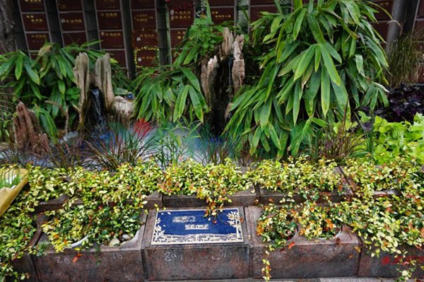 壹号娱乐 - NG大舞台,有梦你就来