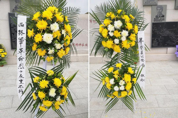 壹号娱乐 - NG大舞台,有梦你就来