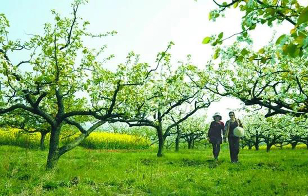 壹号娱乐 - NG大舞台,有梦你就来