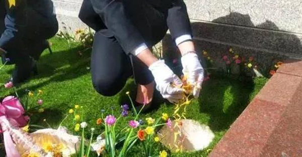 壹号娱乐 - NG大舞台,有梦你就来