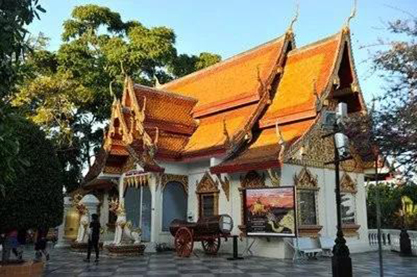 壹号娱乐 - NG大舞台,有梦你就来