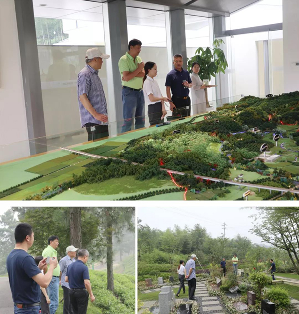 壹号娱乐 - NG大舞台,有梦你就来