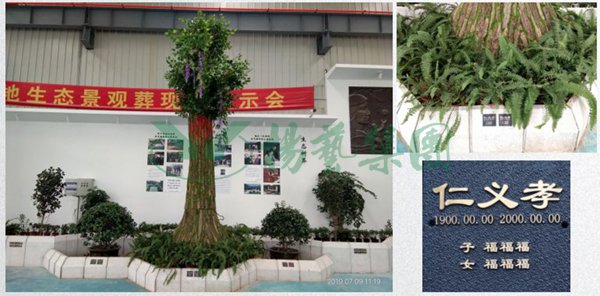 壹号娱乐 - NG大舞台,有梦你就来