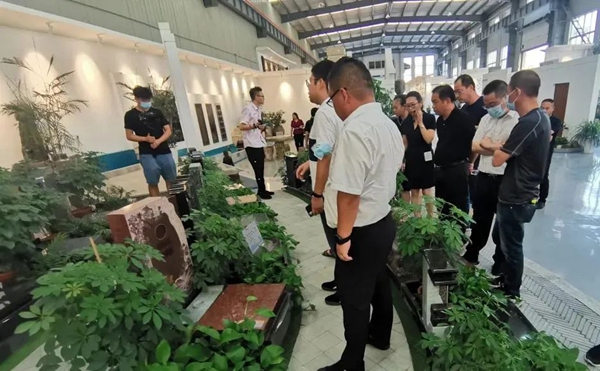 壹号娱乐 - NG大舞台,有梦你就来