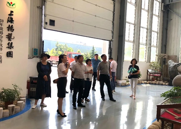 壹号娱乐 - NG大舞台,有梦你就来