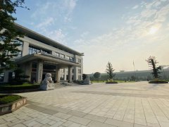 辅导关切与专家器沉