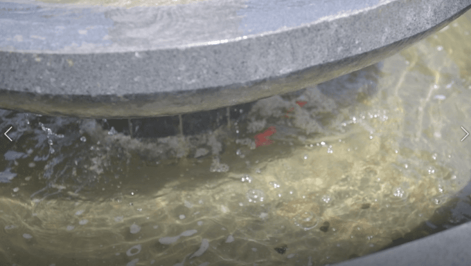 壹号娱乐 - NG大舞台,有梦你就来