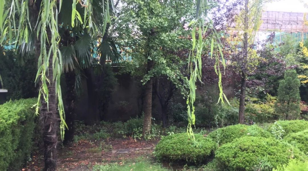 壹号娱乐 - NG大舞台,有梦你就来