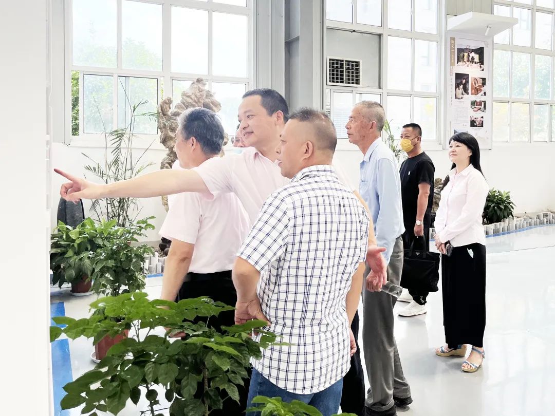 壹号娱乐 - NG大舞台,有梦你就来