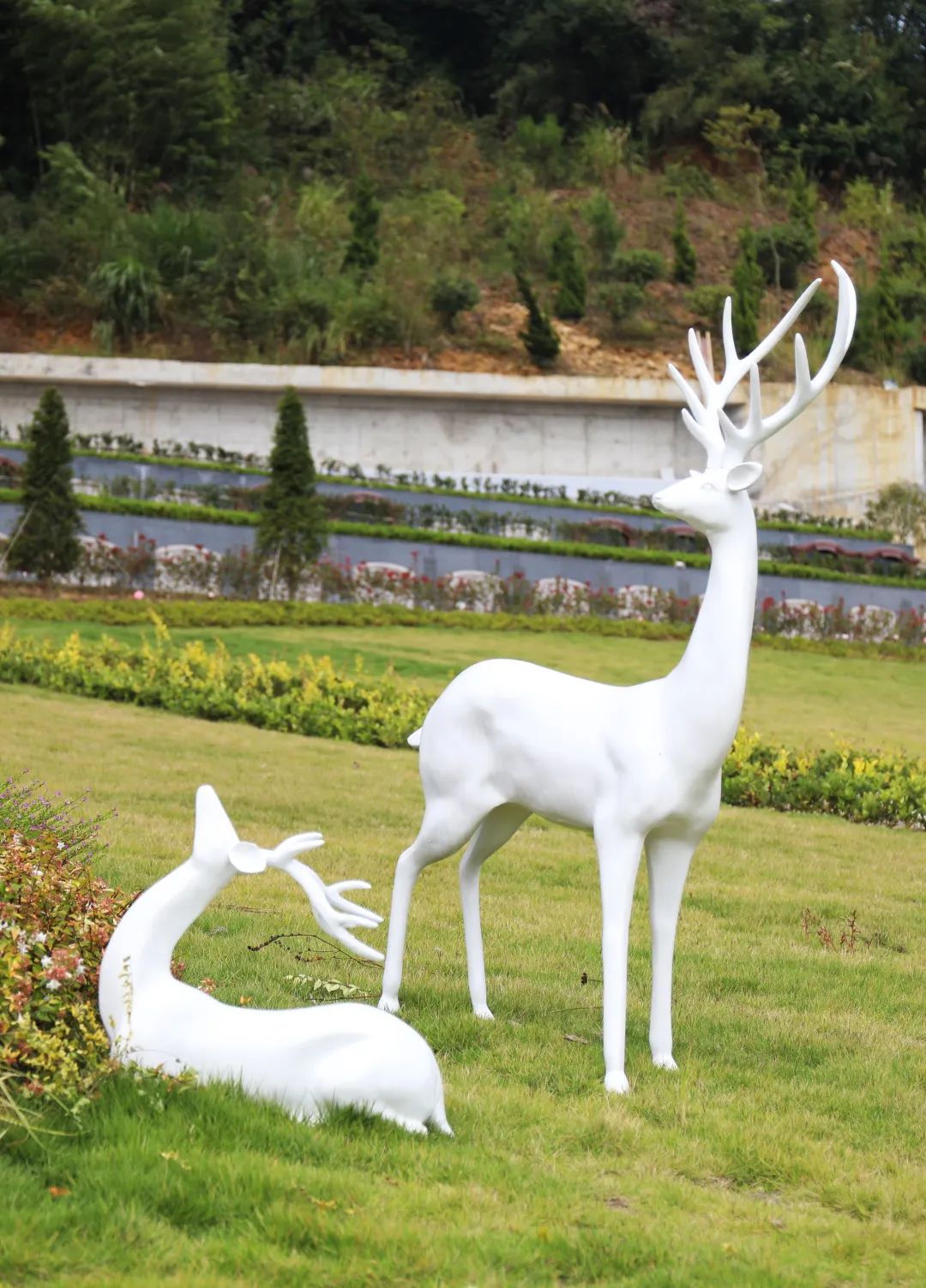 壹号娱乐 - NG大舞台,有梦你就来