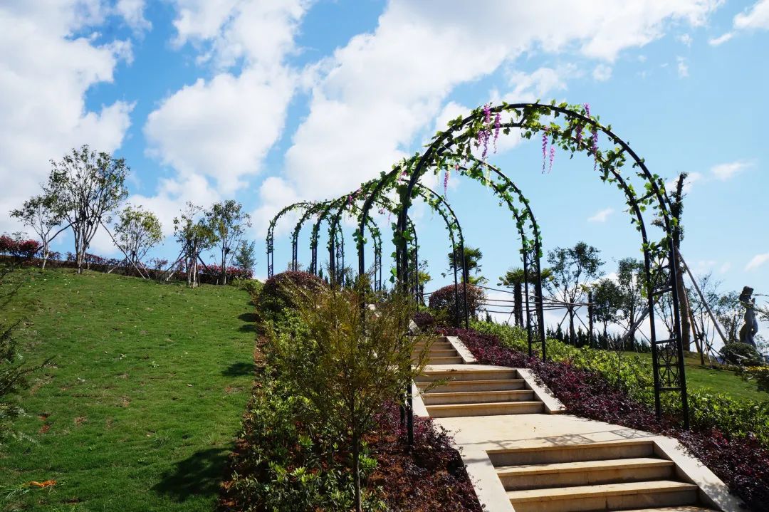 壹号娱乐 - NG大舞台,有梦你就来