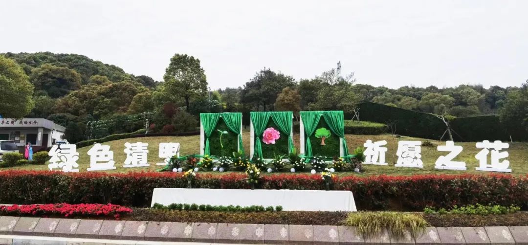 壹号娱乐 - NG大舞台,有梦你就来