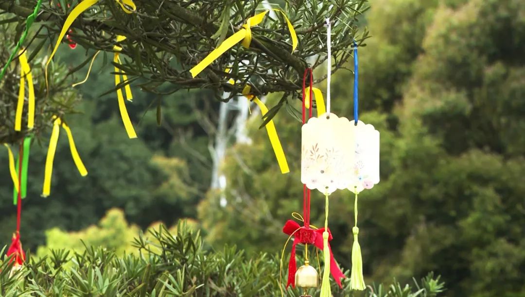 壹号娱乐 - NG大舞台,有梦你就来