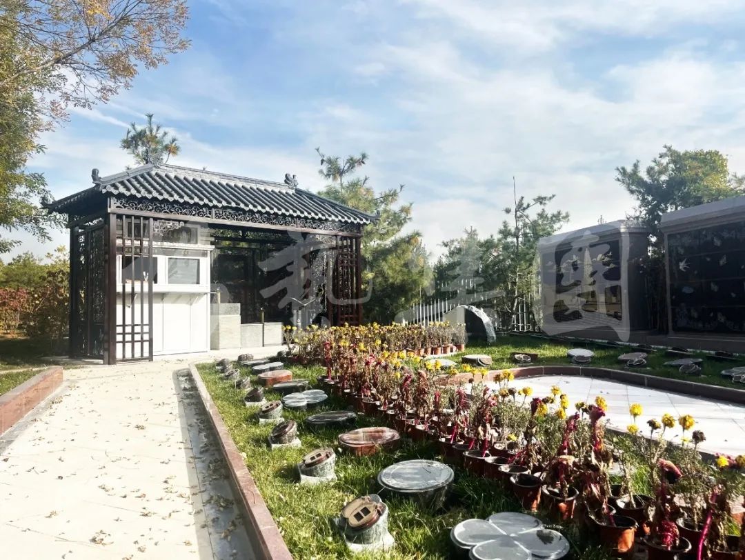 壹号娱乐 - NG大舞台,有梦你就来