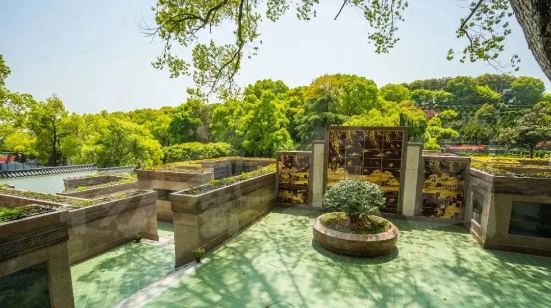 壹号娱乐 - NG大舞台,有梦你就来