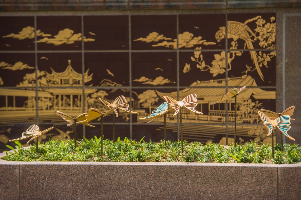 壹号娱乐 - NG大舞台,有梦你就来