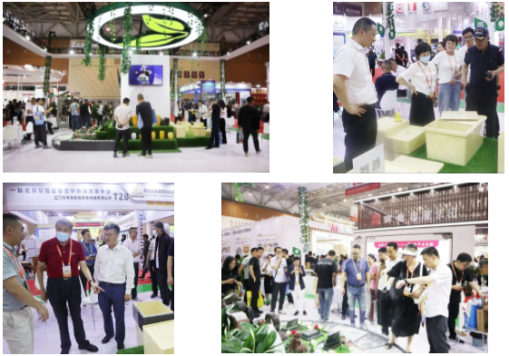 壹号娱乐 - NG大舞台,有梦你就来