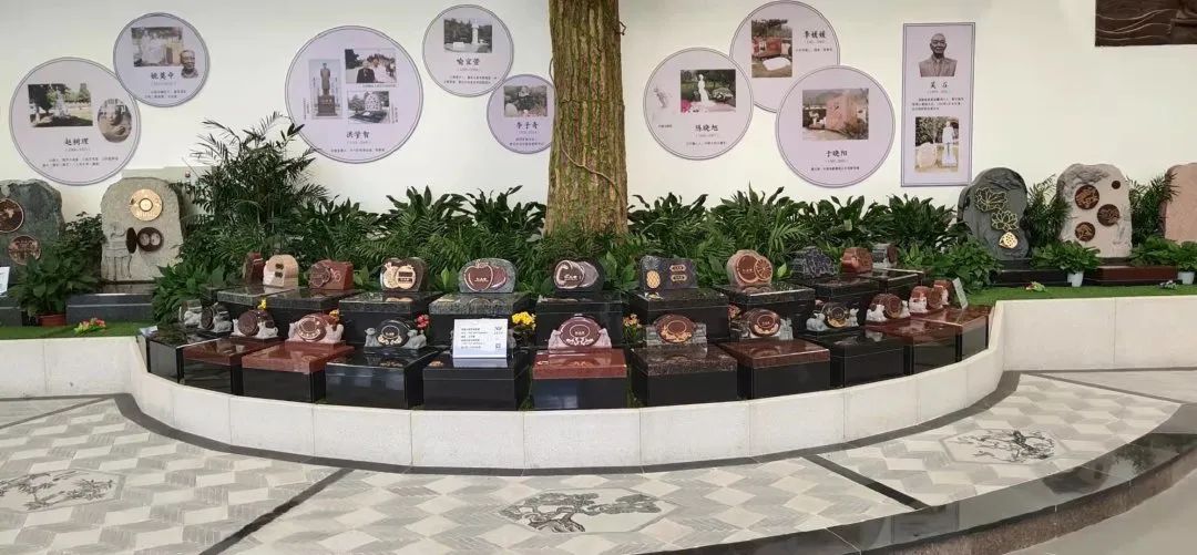 壹号娱乐 - NG大舞台,有梦你就来