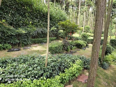 壹号娱乐 - NG大舞台,有梦你就来