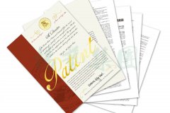 国际认可 | 壹号娱乐喜获一项美国发现专利授权