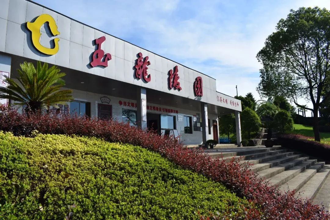 壹号娱乐 - NG大舞台,有梦你就来