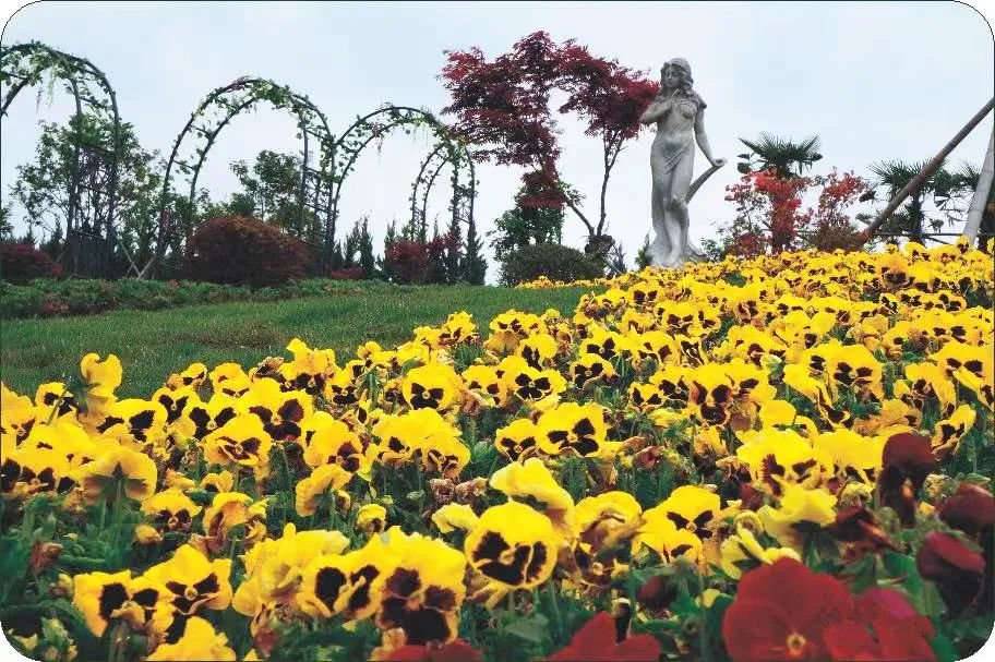 壹号娱乐 - NG大舞台,有梦你就来