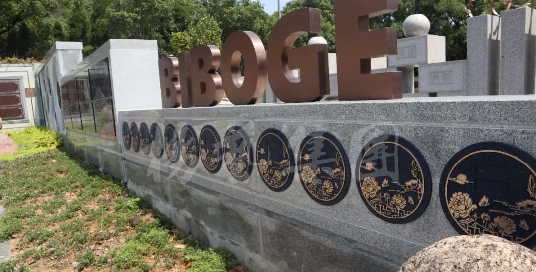 壹号娱乐 - NG大舞台,有梦你就来