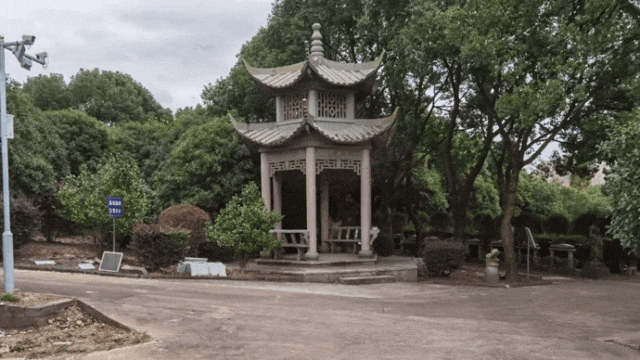 壹号娱乐 - NG大舞台,有梦你就来