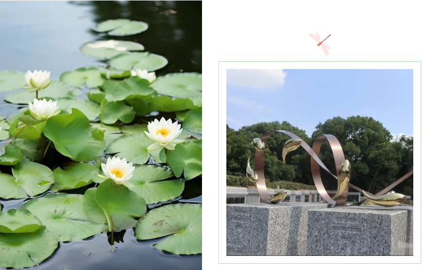 壹号娱乐 - NG大舞台,有梦你就来