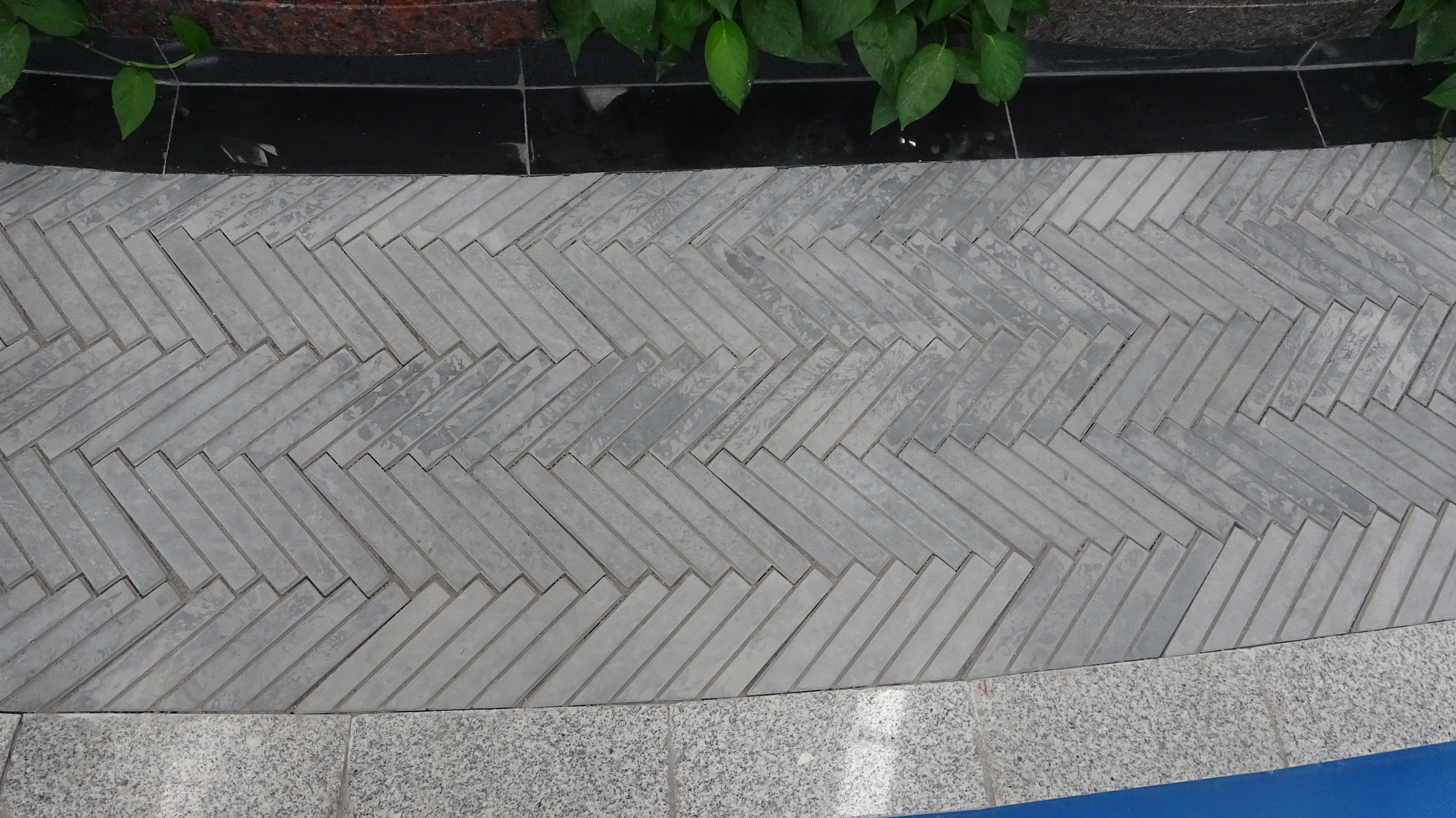 壹号娱乐 - NG大舞台,有梦你就来