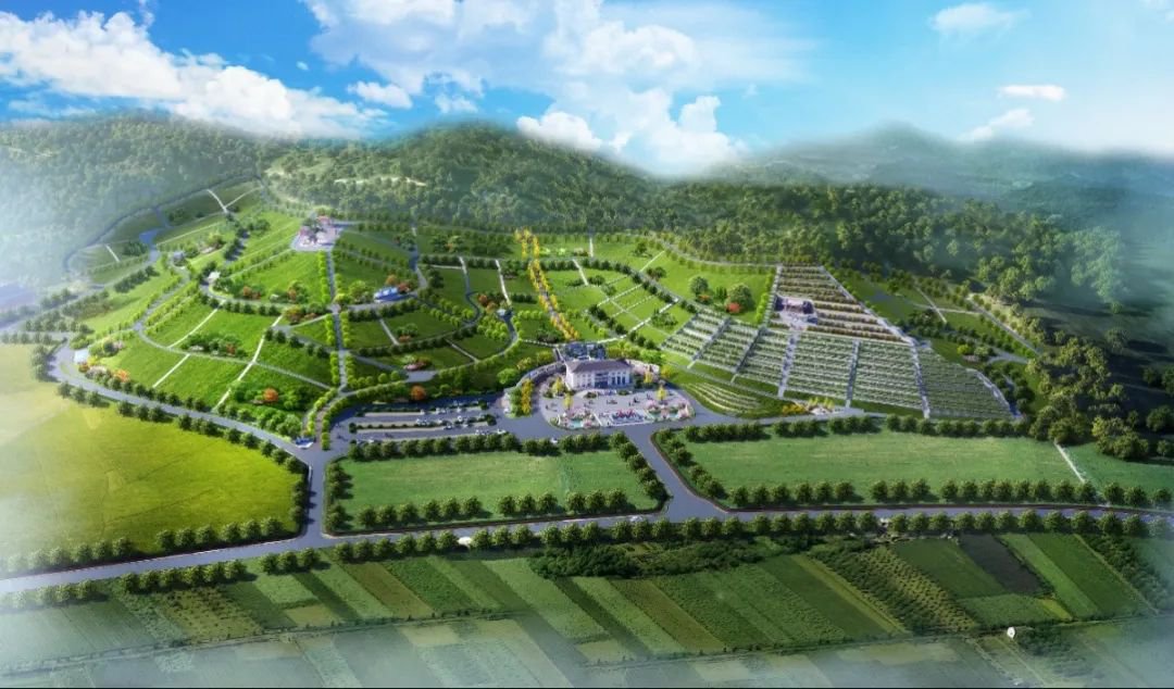 壹号娱乐 - NG大舞台,有梦你就来