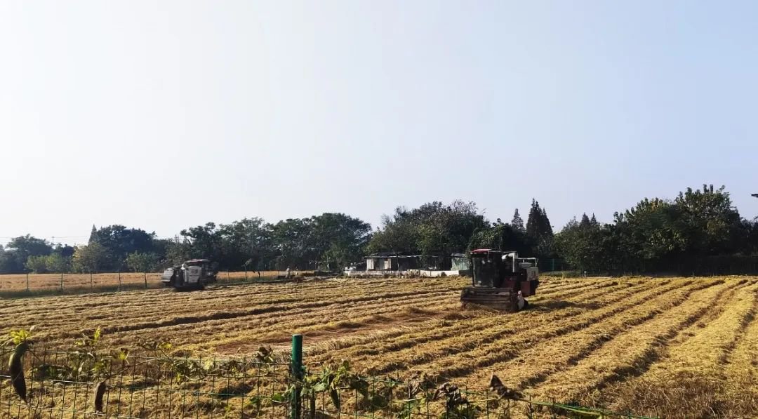 壹号娱乐 - NG大舞台,有梦你就来