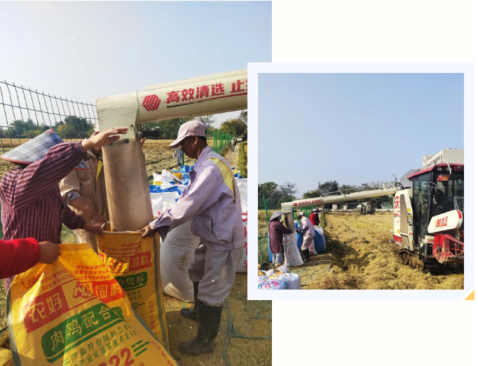 壹号娱乐 - NG大舞台,有梦你就来