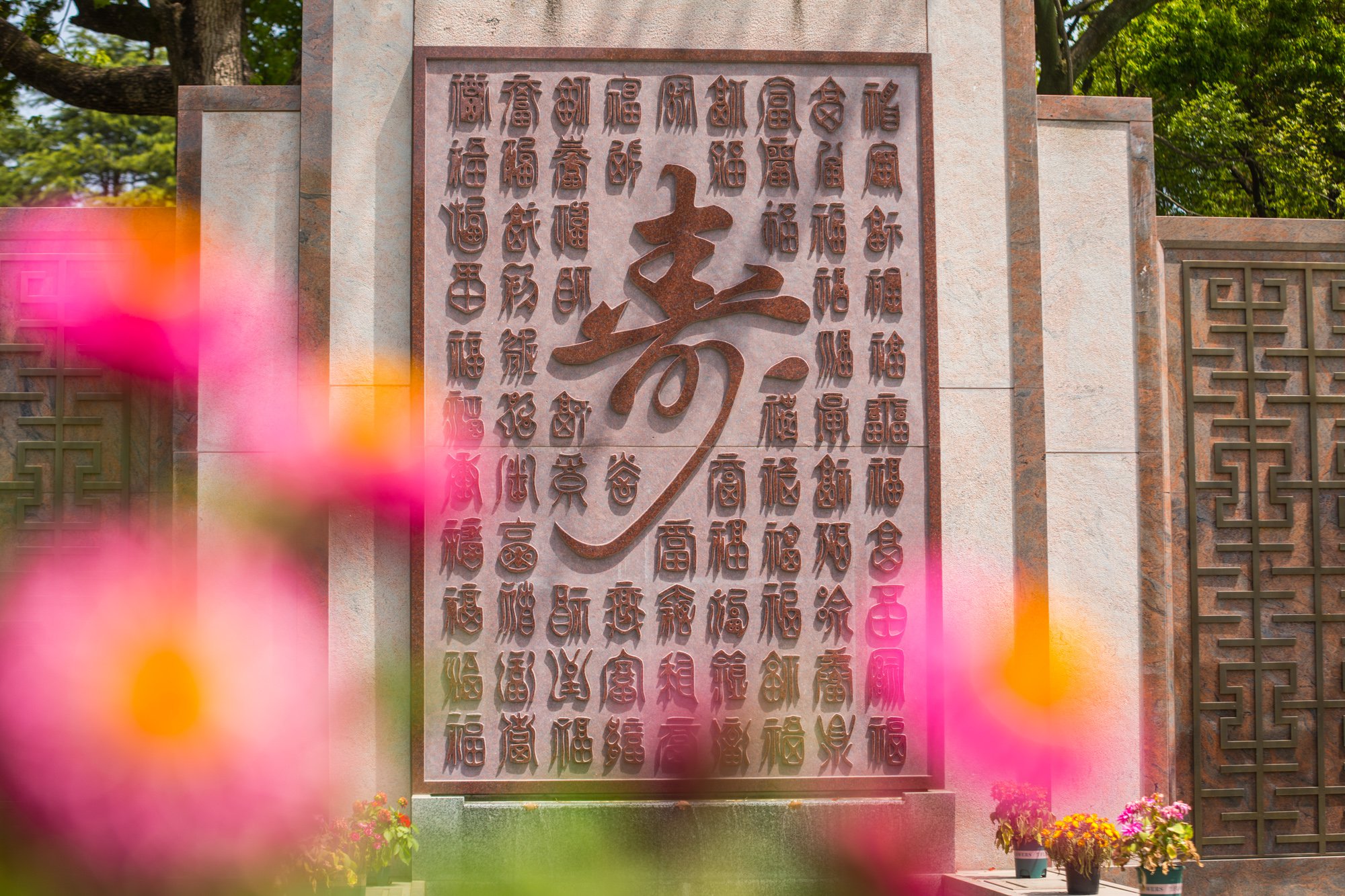 壹号娱乐 - NG大舞台,有梦你就来