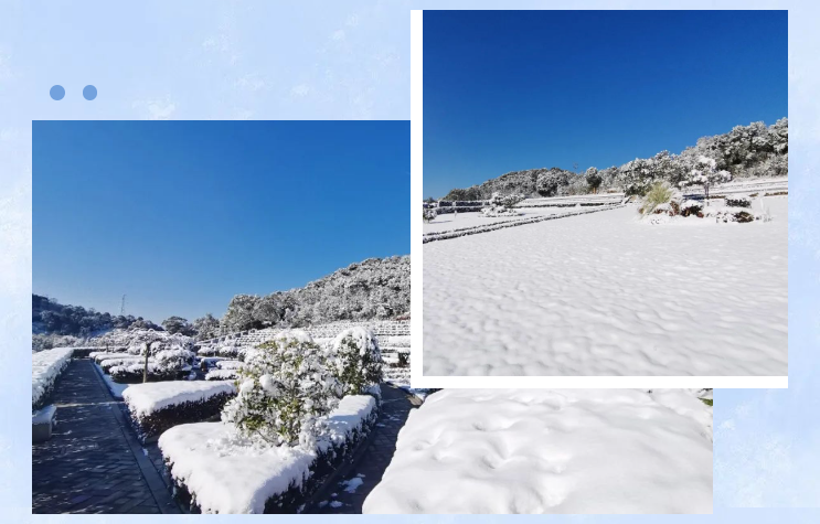 壹号娱乐 - NG大舞台,有梦你就来