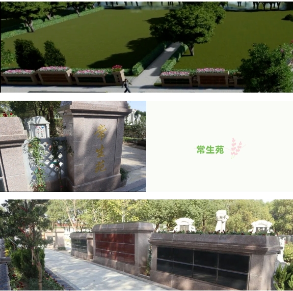 壹号娱乐 - NG大舞台,有梦你就来