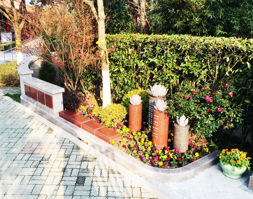 壹号娱乐 - NG大舞台,有梦你就来