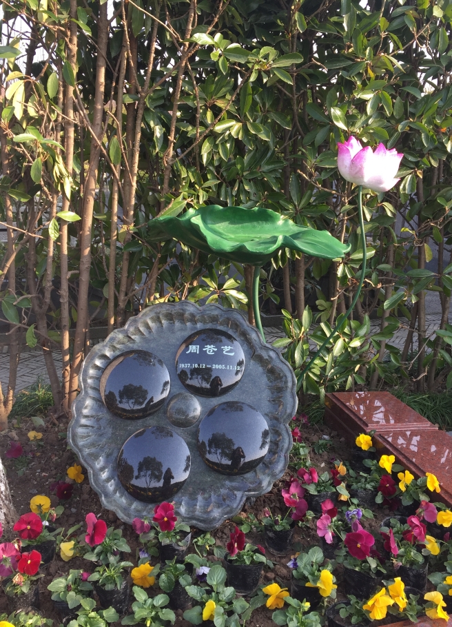 壹号娱乐 - NG大舞台,有梦你就来