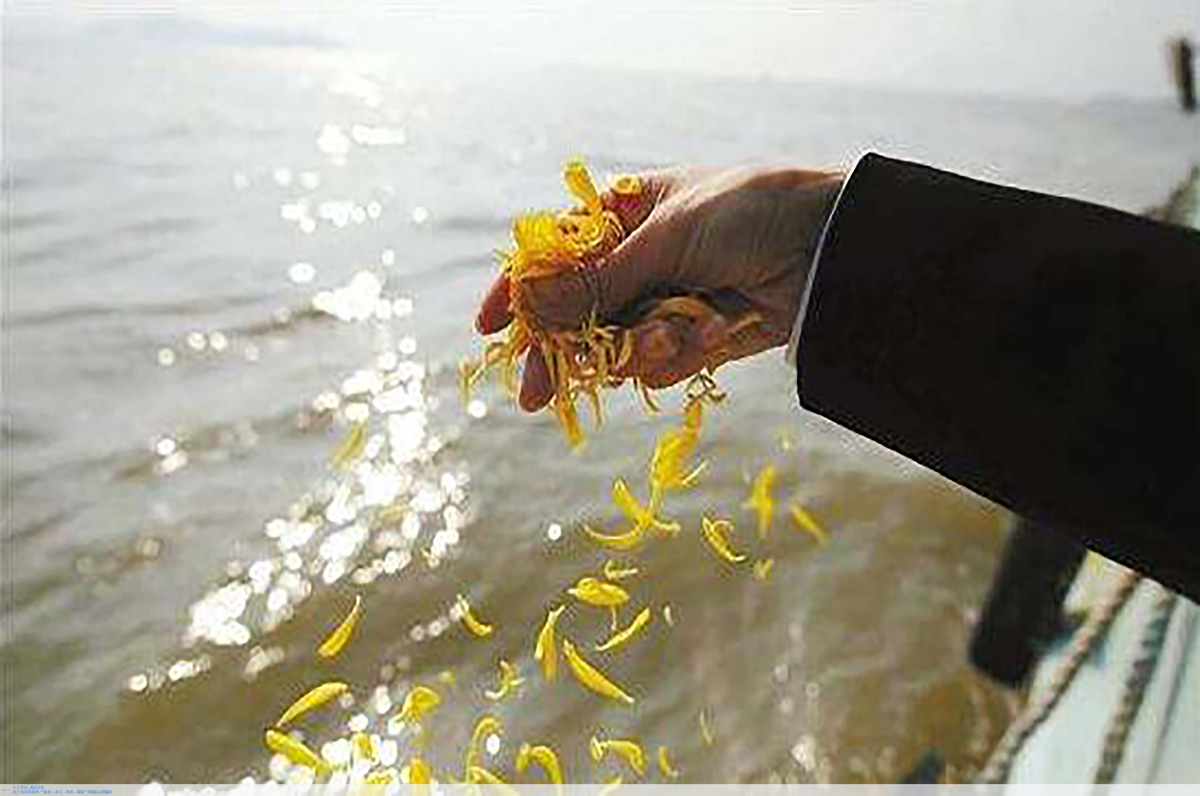 壹号娱乐 - NG大舞台,有梦你就来